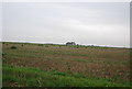 Farmland, Greenlands Farm in CT3 2LF