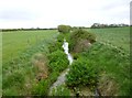 Witchampton, drain in BH21 5AG