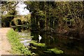 The Wendover Arm Canal in Halton in HP22 5NS