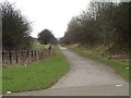 Footpath, Berryhill in ST2 0DZ