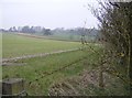 Farmland looking towards Mount Prosperous in RG17 0RP