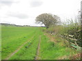 Footpath from the Lanchester Valley Walk to Biggen House Farm in DH7 0TP