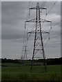 Power cables and pylons running between Brogsdell Plantation and King's Hill Plantation in LU2 8NA
