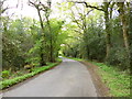 Holt Forest, country road in BH21 7DL