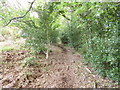 Holt Heath, permissive footpath in BH21 7LB