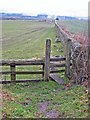 Stile and wall below Brandon Lane in Brandon and Byshottles