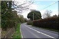 The A271 at Steven's Crouch in TN33 9LP