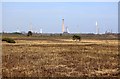 Looking across the heath towards Fawley refinery in SO42 7YS