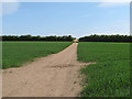 Footpath on the Fingringhoe Gravel Pit Trail in High Park Corner