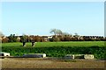 Playing field, Shinewater, Eastbourne in BN23 8DL