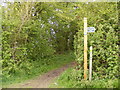 The Angles Way footpath to Rectory Lane & New Road in NR35 1TH