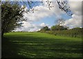 Field by the Two Moors Way in EX36 4RP
