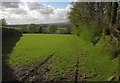 Pasture above Knowstone in EX36 4RY