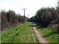 On the Icknield Way near Pirton in SG5 3EY
