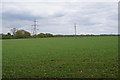 Farmland beside Brazenhead Lane in RG26 5SX