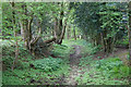 Path towards Wolverton Farm in RG26 5SX