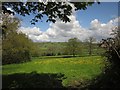 Pasture in the Otter valley in EX14 9PF