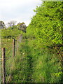 Bridleway towards Eastcote in NN7 3DL