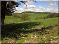 Field above Lapswater Stream valley in TA20 3DY