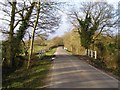 Road to Bucklers Hard from St Leonards, Beaulieu Estate in SO42 7XE