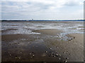 View across the Montrose Basin in DD10 9LE
