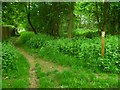 Footpath junction north of Iver Heath in SL0 0NJ