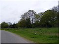 Bridleway to the A144 Halesworth Road & Mill Houses in NR34 8NB