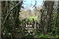 Footbridge across Forge Stream on the 1066 Country Walk in TN33 0RS