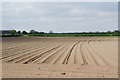 Ploughed field near Melmerby in HG4 5HW