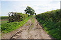 Farm track off Underlands Lane in HG4 5HW