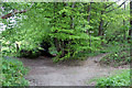 Footpath through Fowl Wood in RH19 3UF