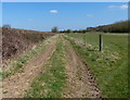 Track and footpath near Newton Lane in CV13 0RE