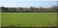 Fields by Throop Road in Abbas and Templecombe