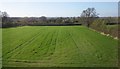 Field by Throop Road in Abbas and Templecombe