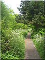 Path beside the River Misbourne in UB9 5BE
