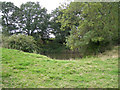 Flooded pit near Outhill in B80 7DY