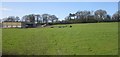 Barn and field, Knapp Hill in SP7 9BX
