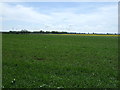 Farmland off Tetney Road in DN36 4AL