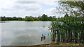 May Water, Chigborough Fisheries, nr Maldon, Essex in CM9 7RE