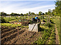 Allotments by path to Aversley Wood in PE28 5WT