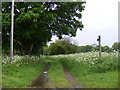 Pond Hall Lane Bridleway to Potash & Case Lanes in IP9 2DA