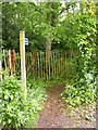 Footpath to Bentley Hall in IP9 2DA