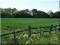 Farmland off Louth Road in DN36 5FR