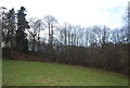 Woodland by the Greensand Way in GU5 0FE