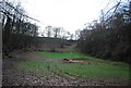 Grassland and woodland in GU5 0FE