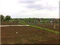 Northampton Road Allotments in NN6 9LW