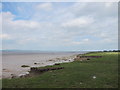Looking North on the Severn Shore at Chittening Warth in BS11 0YB