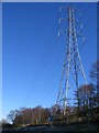 Pylon near Llandegla in LL11 3AH