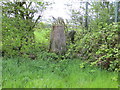 Ordnance Survey Trig Pillar S6385 in SA73 1NG