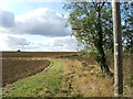 Bridleway from Newman's End in CM17 0PB